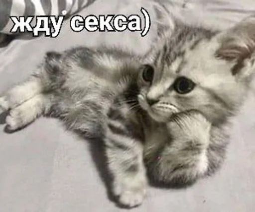 🤭