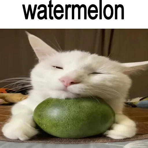 ?