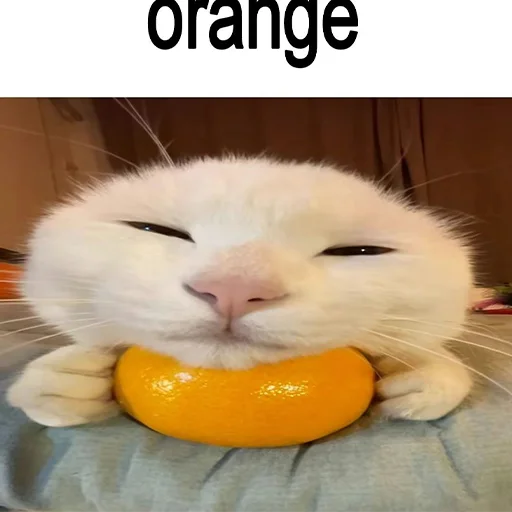 Эмодзи cats
