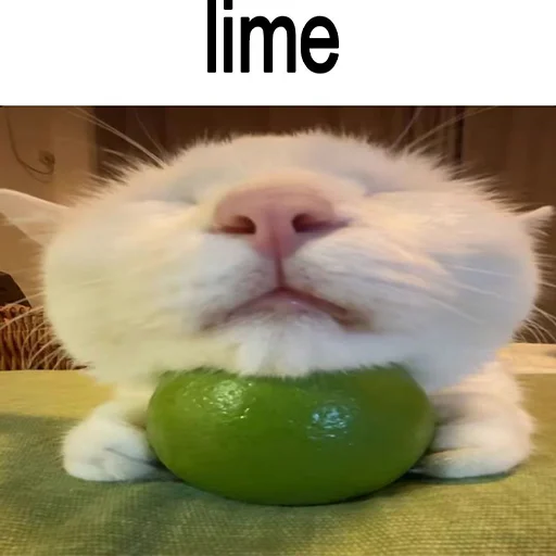 Эмодзи cats