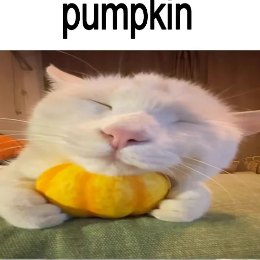 Эмодзи cats