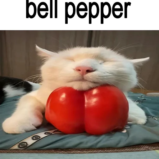 Эмодзи cats