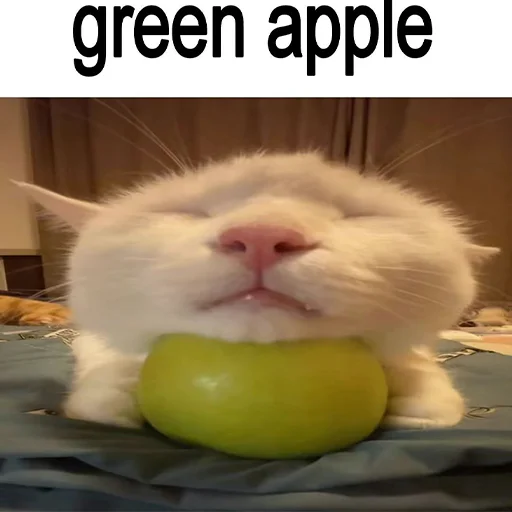 Эмодзи cats