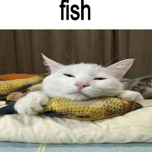 Эмодзи cats