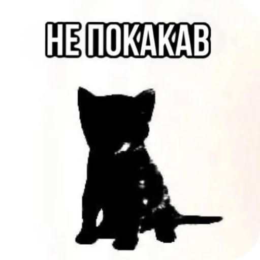 Эмодзи Котики и фразочки