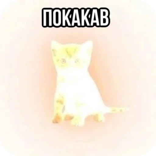 Эмодзи Котики и фразочки