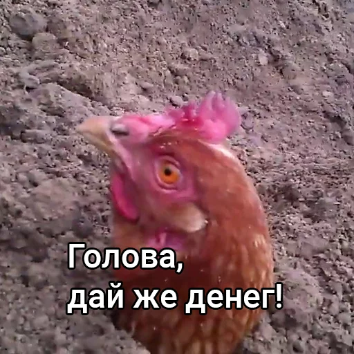 Эмодзи Голова, дай денег!