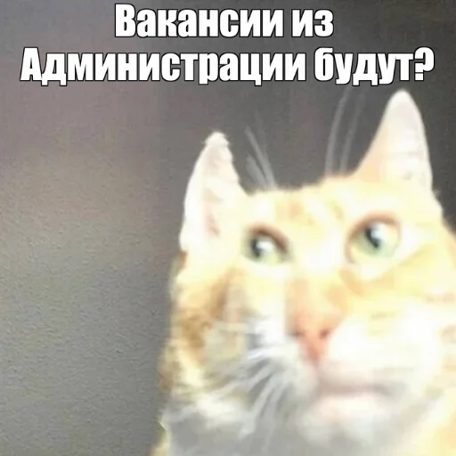 Эмодзи Коллекция