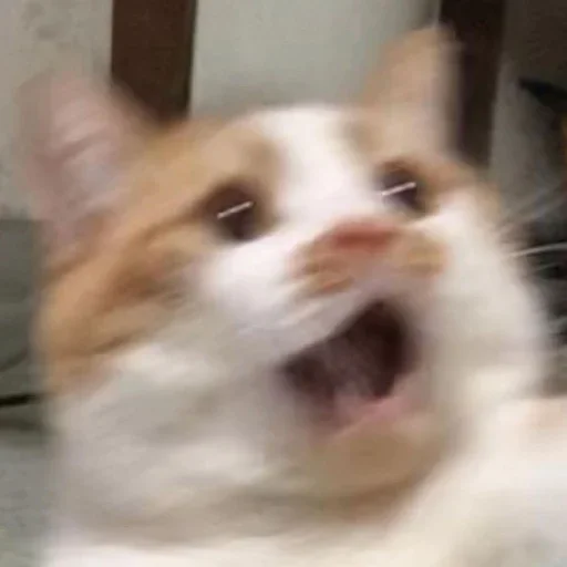 Эмодзи Стикеры одинокой бабули