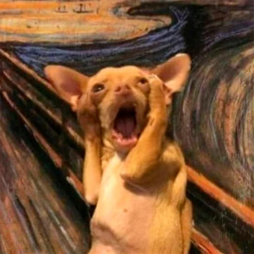 Эмодзи Стикеры одинокой бабули