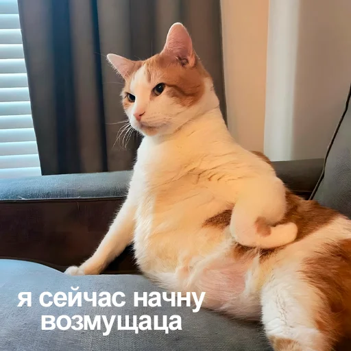 Эмодзи Стикеры одинокой бабули