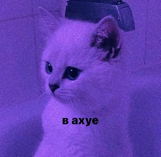 Эмодзи Стикеры одинокой бабули