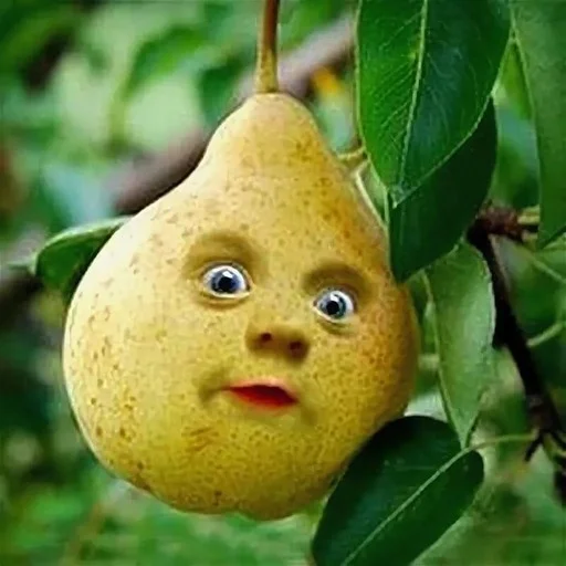 Эмодзи груши