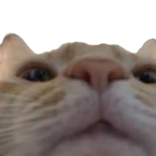 Эмодзи gusic