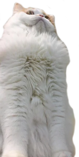 Эмодзи gusic