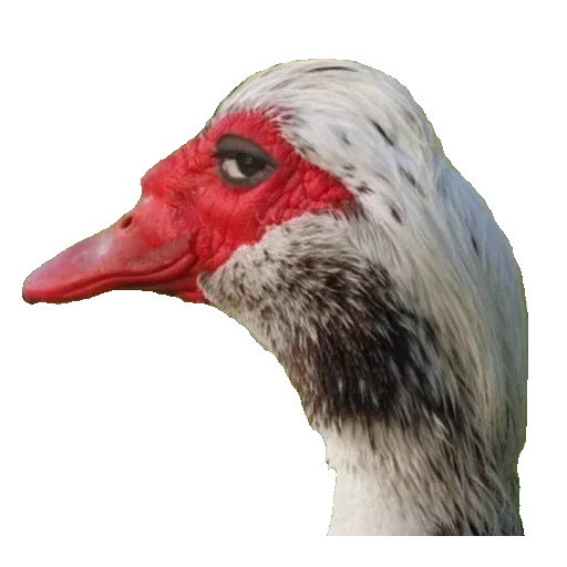 🧐