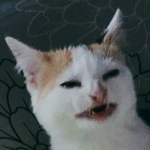 Эмодзи hallucat