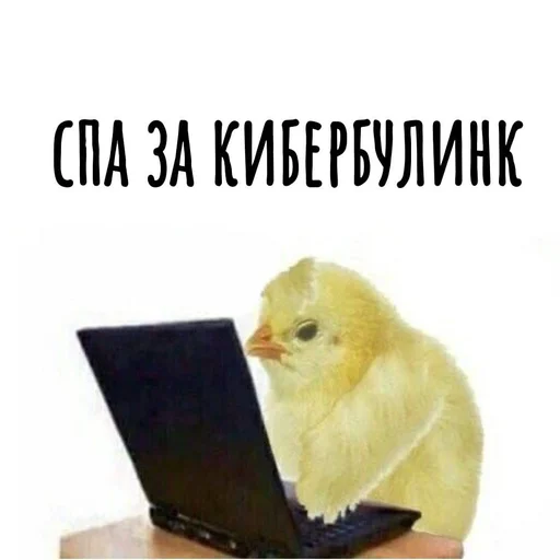 😥