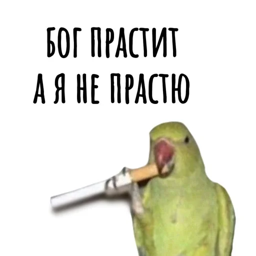 Эмодзи Хамим Красиво