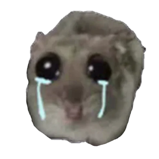 Эмодзи sad hamster