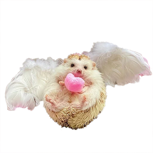Эмодзи hedgehogs Beauty Stickers