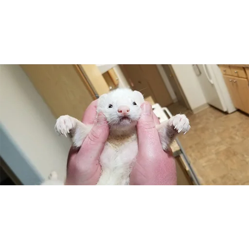 ?