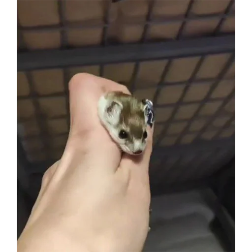 Эмодзи *is hold*