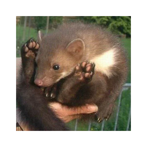 Эмодзи *is hold*