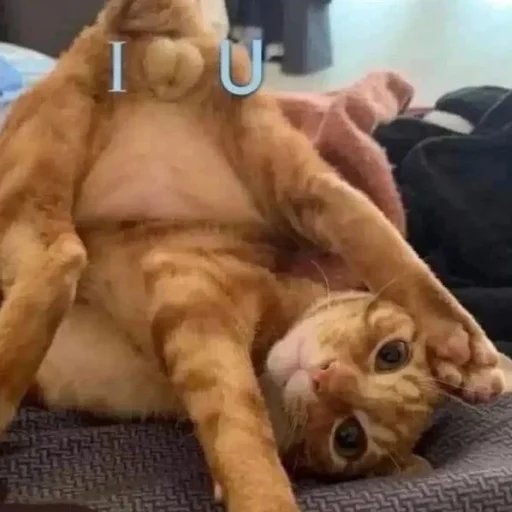?
