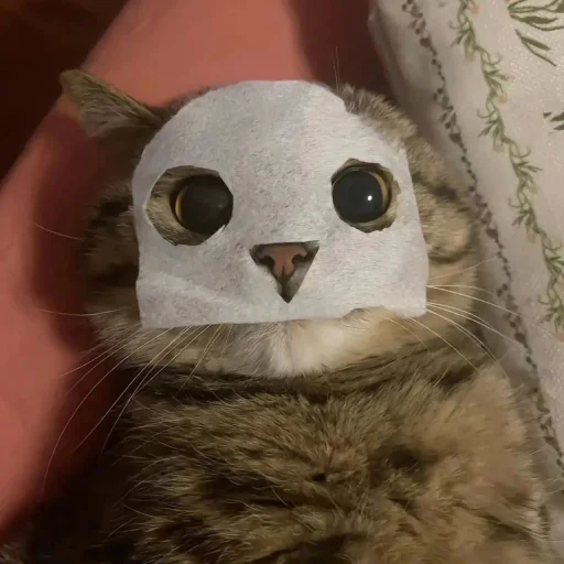 Эмодзи Cats | Котики