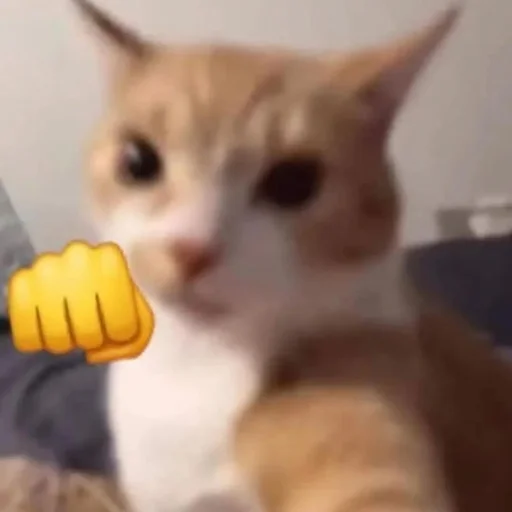 Эмодзи Cats | Котики