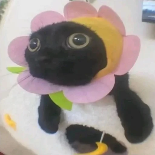 Эмодзи Cats | Котики