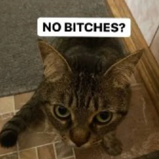 🤨