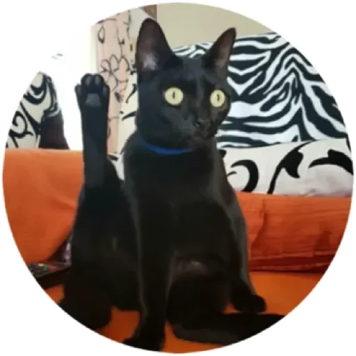 Эмодзи Хоба