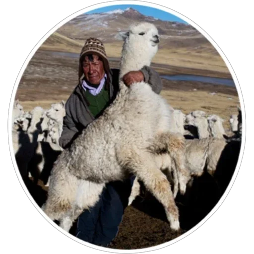 Эмодзи Хоба