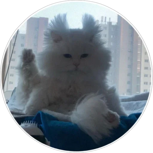 Эмодзи Хоба