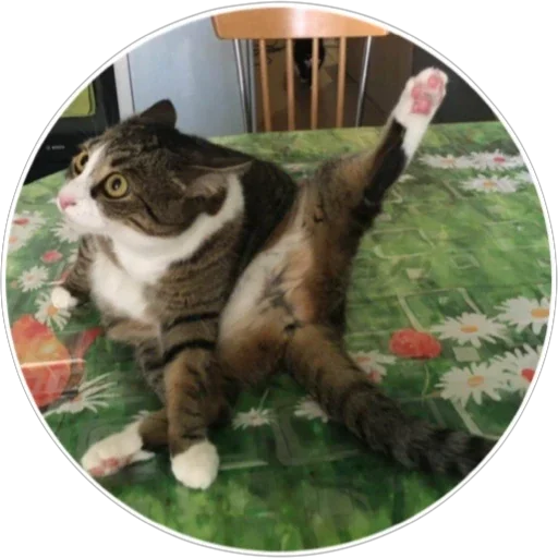 Эмодзи Хоба