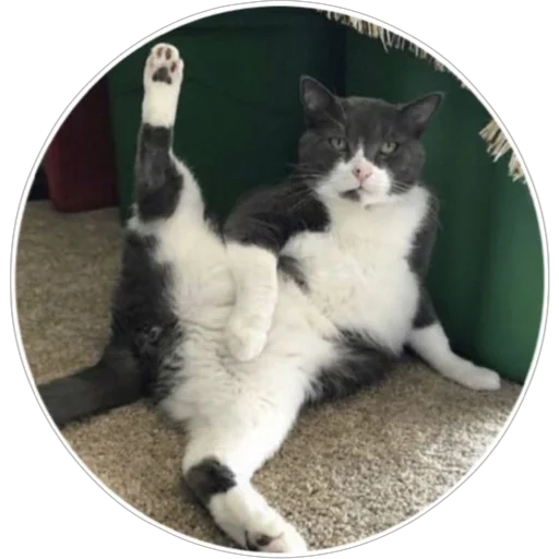 Эмодзи Хоба