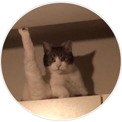 Эмодзи Хоба