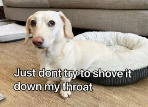 Эмодзи homophobic dog