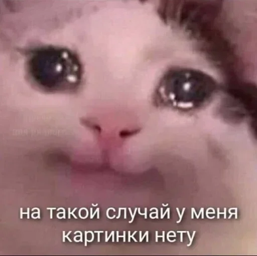 Эмодзи стики каждый день