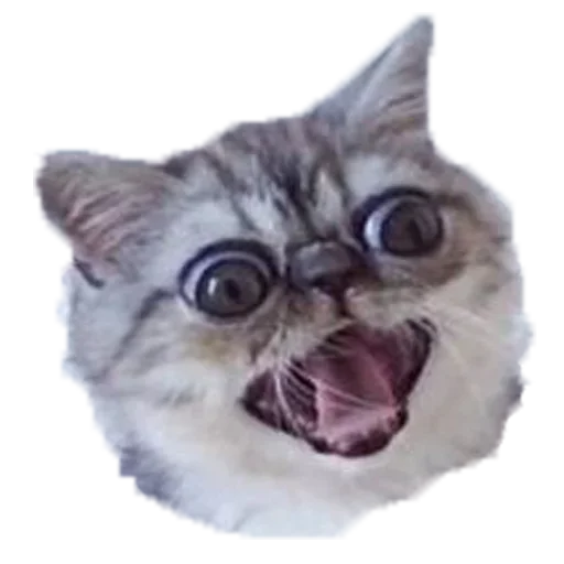 ?