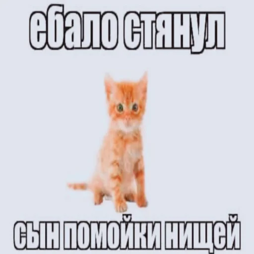 Эмодзи memes ☃️