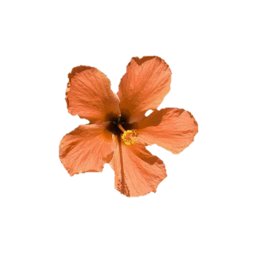 Эмодзи aesthetics