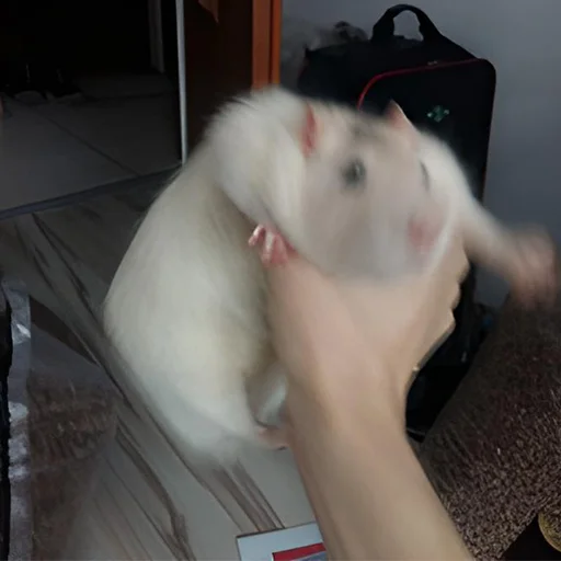 Эмодзи miw