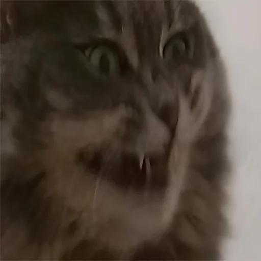 Эмодзи miw