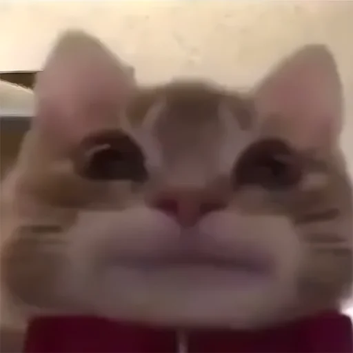 Эмодзи miw
