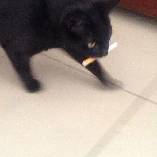 Эмодзи miw