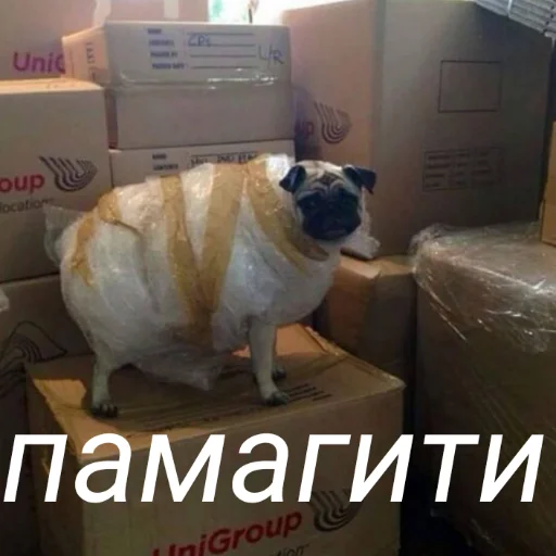 Эмодзи милые милости и депрессия