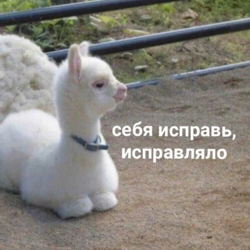 Эмодзи милые милости и депрессия